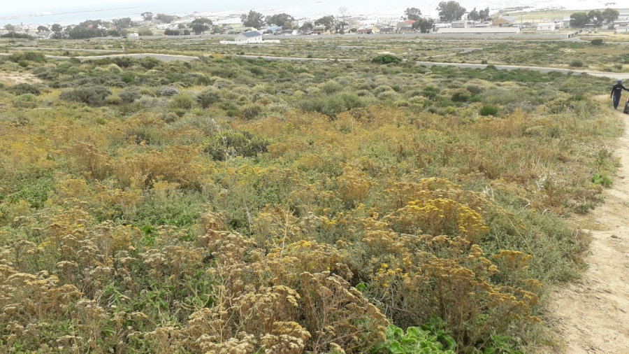 0 Bedroom Property for Sale in St Helena Views Western Cape